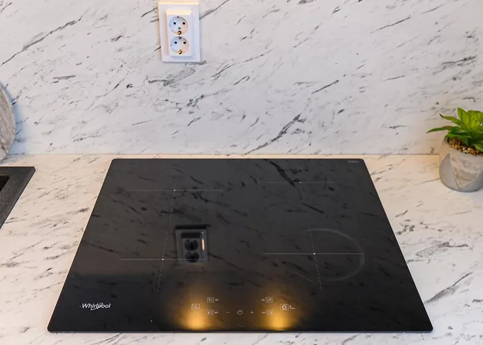 公寓 Dynamic Nest 布拉索夫