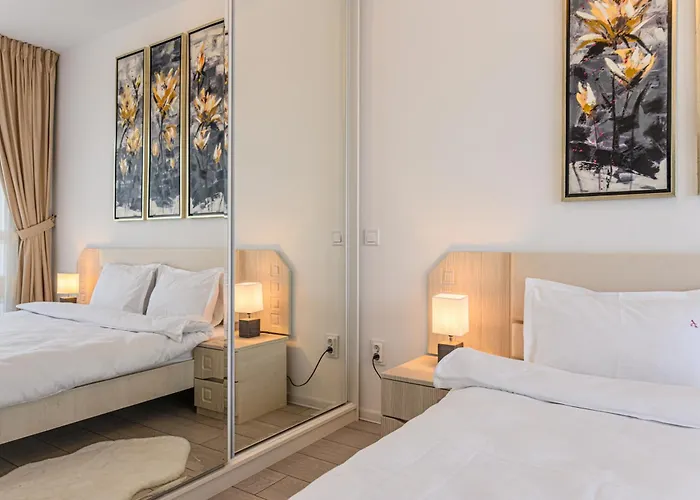 Dynamic Nest * 布拉索夫