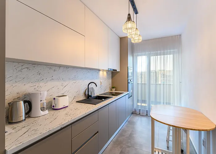 Dynamic Nest 布拉索夫