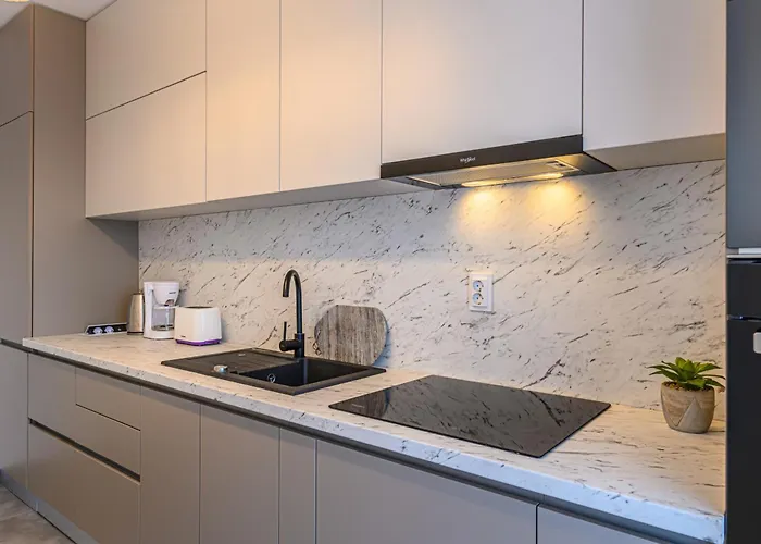 Dynamic Nest * 布拉索夫